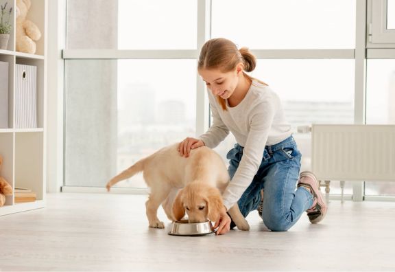 Девочка кормит щенка
