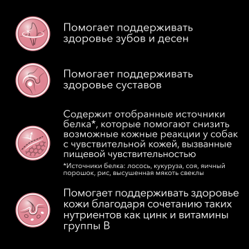 Сухой корм PRO PLAN ACTI PROTECT, для взрослых собак мелких и карликовых пород с чувствительной кожей, с высоким содержанием лосося, Пакет, 3кг