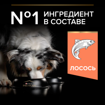 Сухой корм PRO PLAN® для собак старше 7 лет средних пород с чувствительной кожей, с высоким содержанием лосося