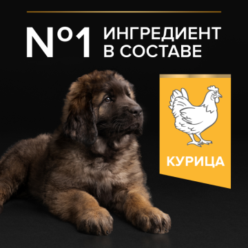 Сухой корм PRO PLAN® STARTER для щенков крупных пород, с высоким содержанием курицы