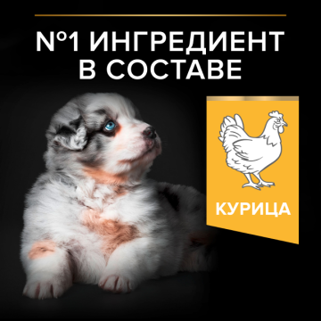 Сухой корм PRO PLAN® STARTER для щенков мелких и средних пород, с высоким содержанием курицы
