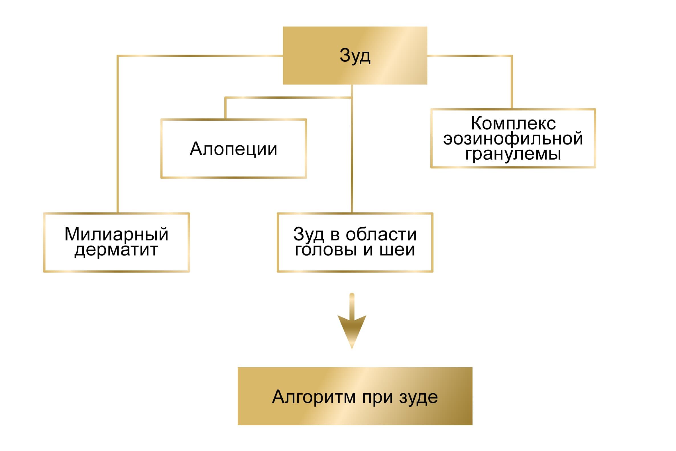 Клинический подход к кошке с зудом