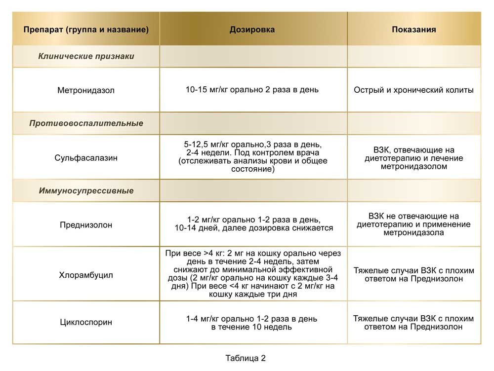 Фармакологическая терапия