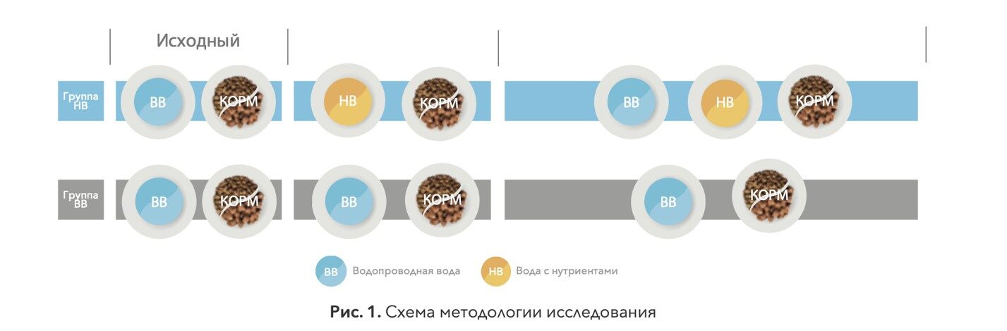 Схема методологии исследования