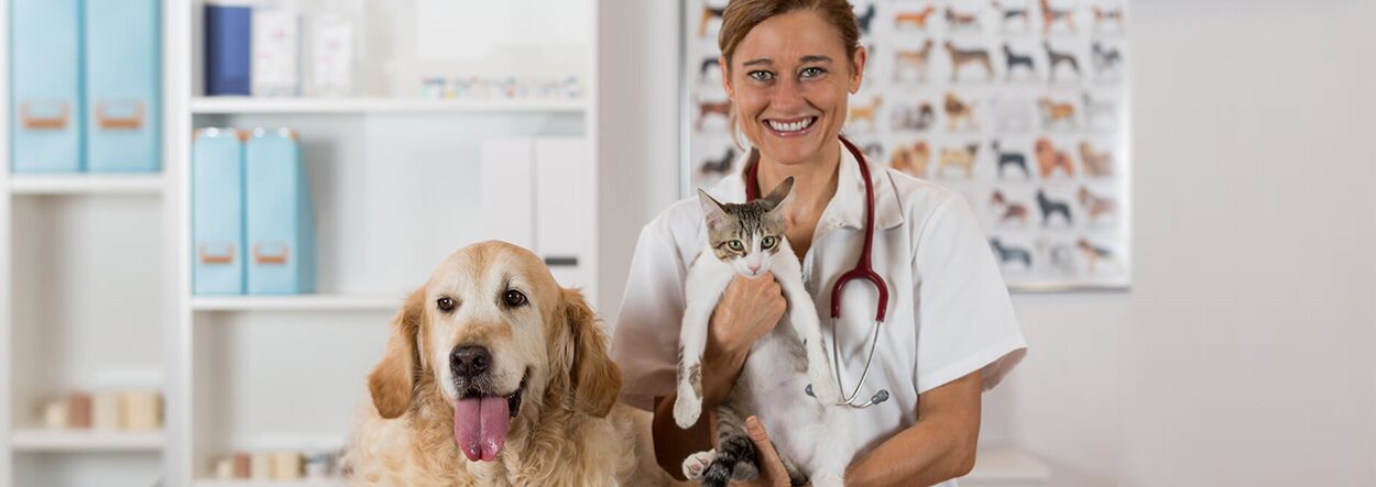 Ветеринар с кошкой и собакой
