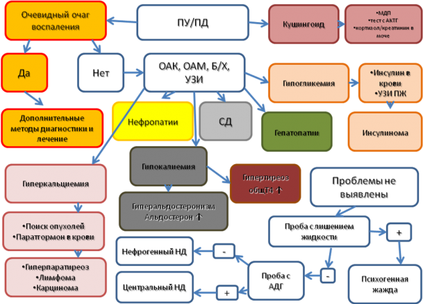 Чувство при полидипсии 5 букв. Дифференциальная диагностика полиурии и полидипсии. Полиурия дифференциальная диагностика. Дифференциальная диагностика при полиурии. Алгоритм дифференциальной диагностики синдрома полиурии-полидипсии.