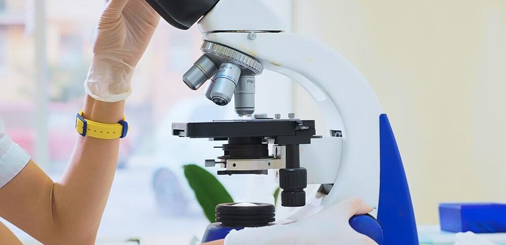 Хронический гломерулонефрит у кошек и собак - PRO PLAN