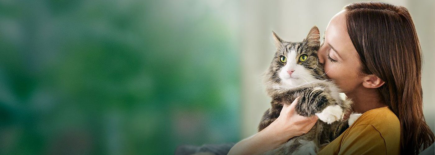Лекция «Аллергия на кошек: что делать и возможные причины» от экспертов Pro  Plan