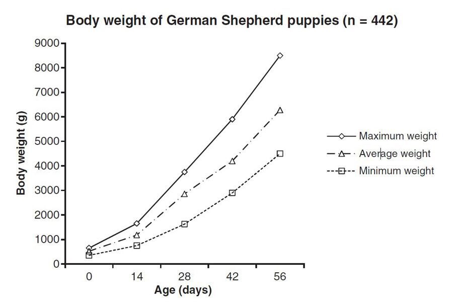 Масса тела щенков немецкой овчарки