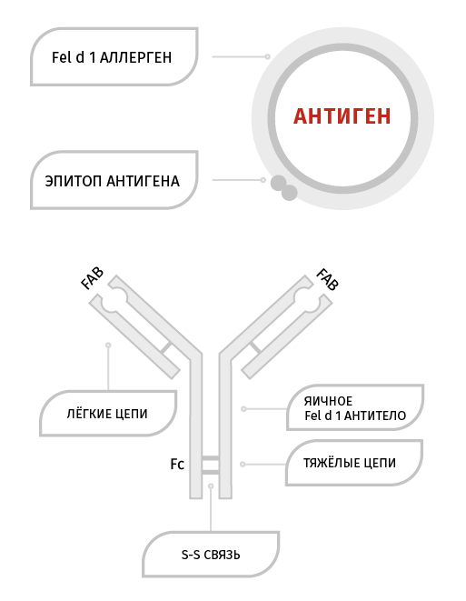 Предпосылки и цели