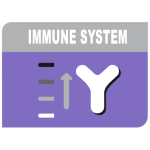 Immune System