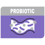 Probiotic