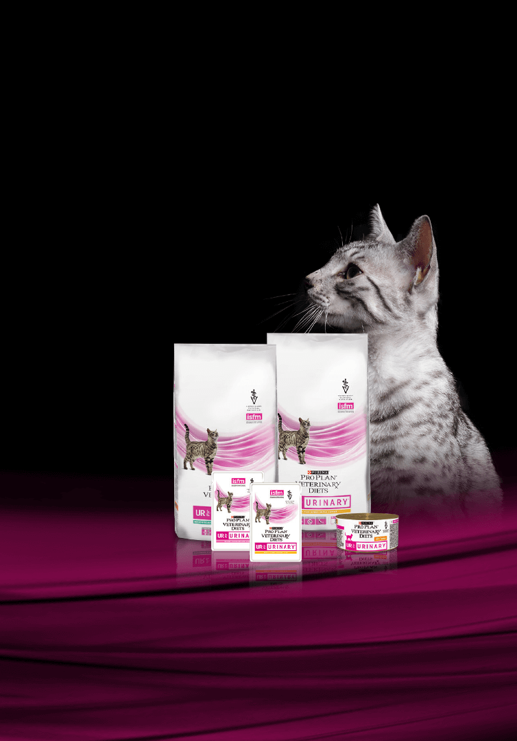 PRO PLAN® Veterinary Diets UR St/Ox Urinary