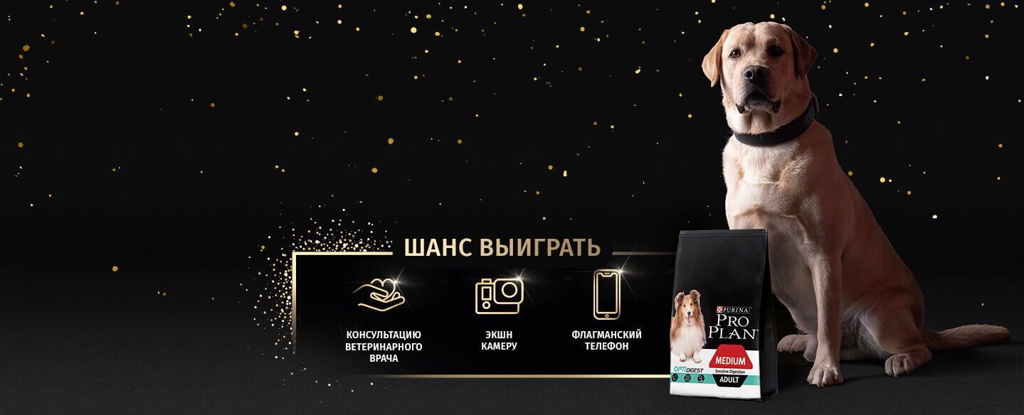 ПРАЗДНУЙТЕ ВСЕМИРНЫЙ ДЕНЬ СОБАК С PRO PLAN®