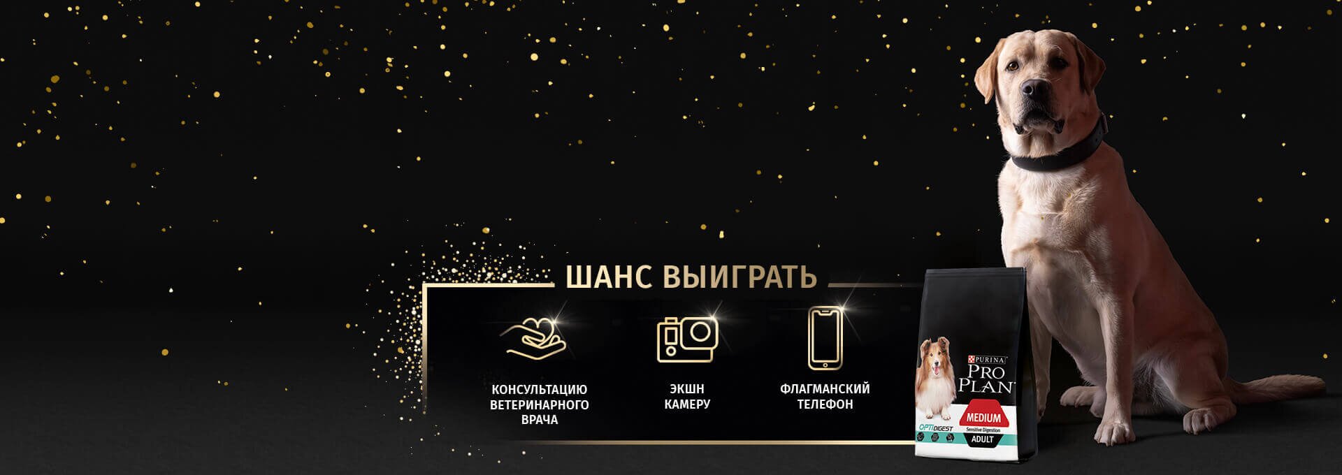 ПРАЗДНУЙТЕ ВСЕМИРНЫЙ ДЕНЬ СОБАК С PRO PLAN®