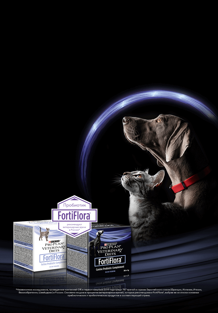 FortiFlora®* на страже здоровья вашего питомца