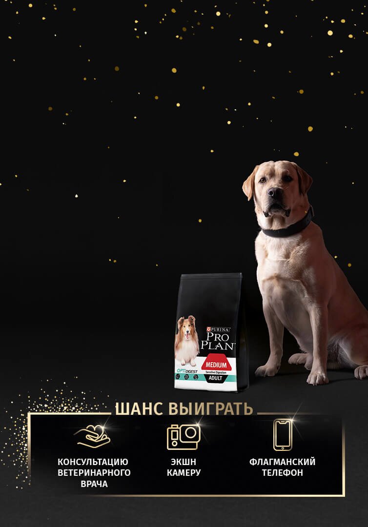 ПРАЗДНУЙТЕ ВСЕМИРНЫЙ ДЕНЬ СОБАК С PRO PLAN®