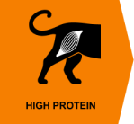 Высокое содержание белка