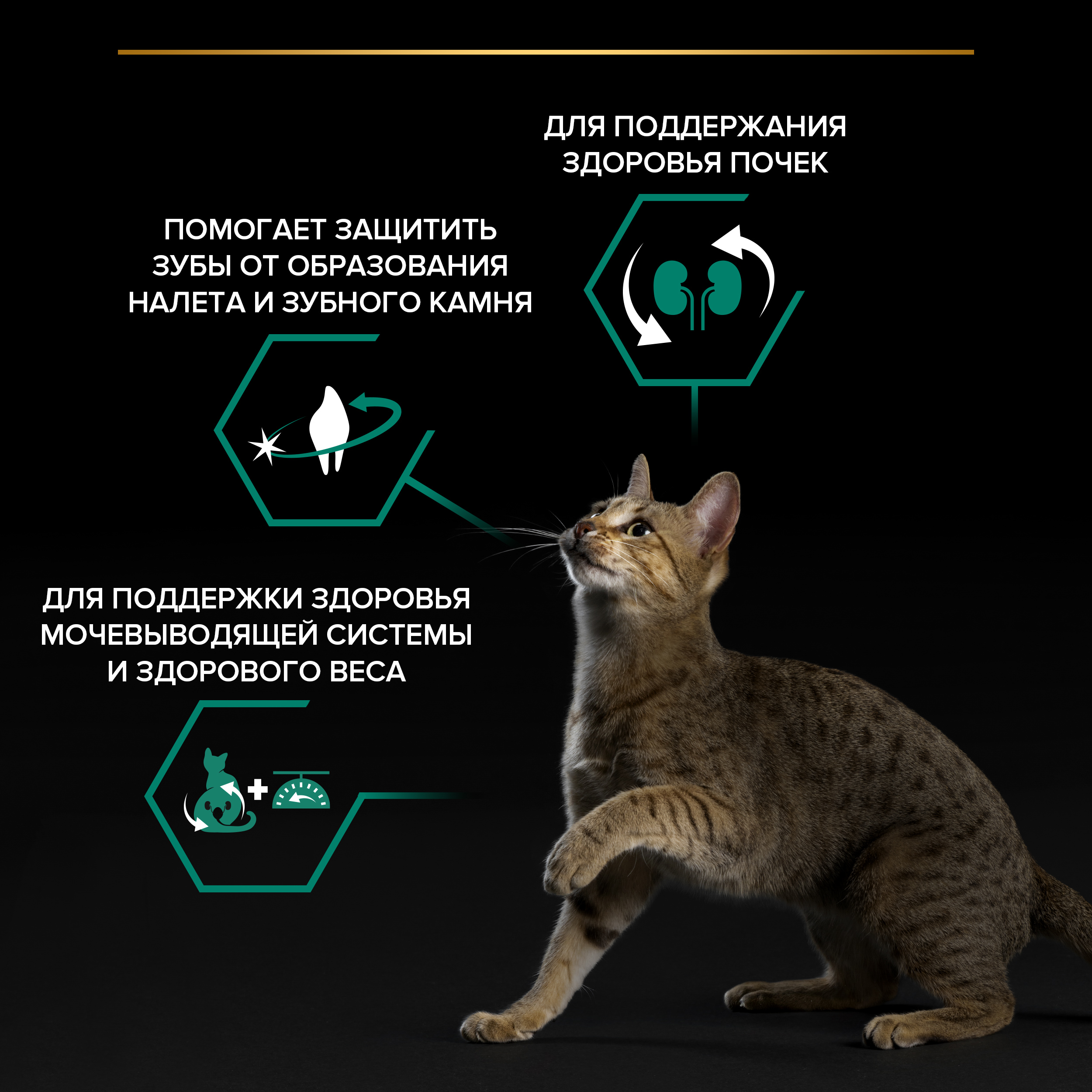 PRO PLAN® Sterilised Adult RENAL PLUS для взрослых стерилизованных кошек, с высоким содержанием индейки